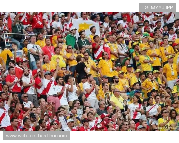 北美世界杯场馆验收通过，球迷体验被大幅提升